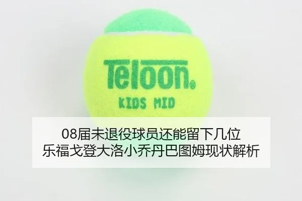 08届未退役球员还能留下几位 乐福戈登大洛小乔丹巴图姆现状解析